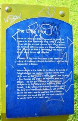The Lime Tree Marker. Click for full size. The Lime Tree Marker image. Click for full size.