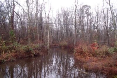 White Oak Swamp image. Click for full size.