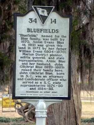 Bluefields Marker, Side One. Click for full size. Bluefields Marker, Side One image. Click for full size.
