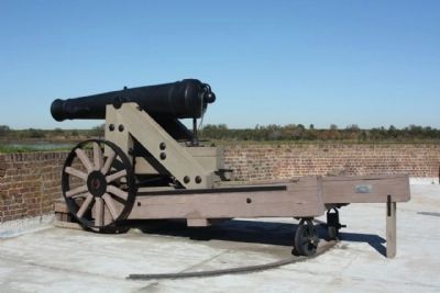 Fort Jackson Cannon image. Click for full size.