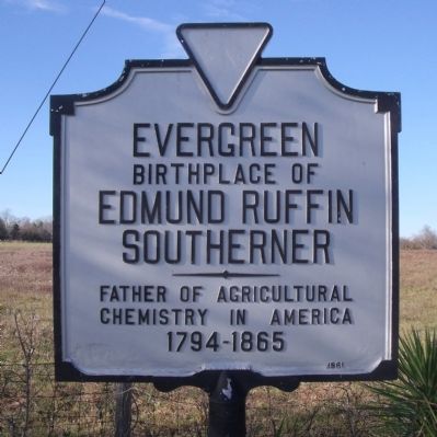 Evergreen Marker. Click for full size. Evergreen Marker image. Click for full size.