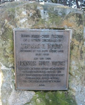 Living Memorial Marker. Click for full size. Living Memorial Marker image. Click for full size.