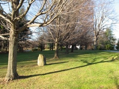 Living Memorial Marker in the row of Memorial Trees. Click for full size. Living Memorial Marker in the row of Memorial Trees image. Click for full size.