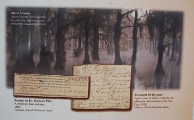 Marsh Miasma / Receipt for Dr. Michael's Pills / Treatment for the Ague. Click for full size. Marsh Miasma / Receipt for Dr. Michael's Pills / Treatment for the Ague image. Click for full size.
