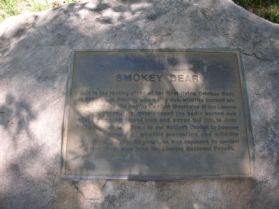 Smokey Bear Marker. Click for full size. Smokey Bear Marker image. Click for full size.