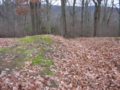 Profile of the Outer Entrenchments image. Click for full size.