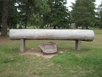 The Great Pine and Marker. Click for full size. The Great Pine and Marker image. Click for full size.