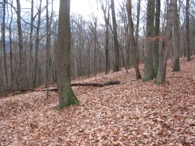 Outer Trenches. Click for full size. Outer Trenches image. Click for full size.