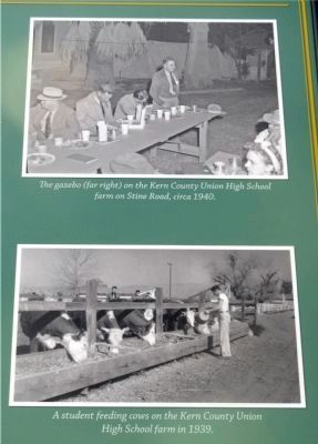 Photos Displayed on Marker image. Click for full size.