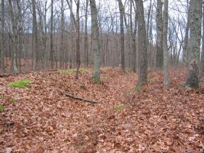 View of the Outer Trenches near the Marker. Click for full size. View of the Outer Trenches near the Marker image. Click for full size.
