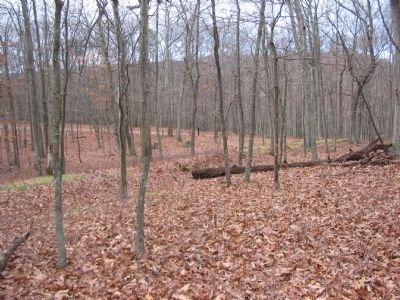 Section of the Outer Trenches on the South Wall image. Click for full size.