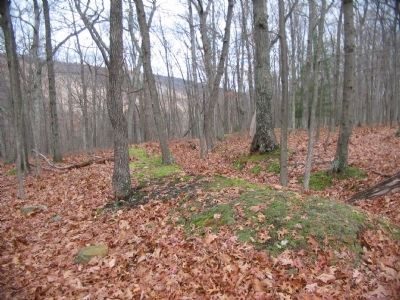 Section of the Fort's Outer Trenches near the Marker. Click for full size. Section of the Fort's Outer Trenches near the Marker image. Click for full size.