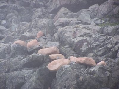 Glacial rocks or erratics.. Click for full size. Glacial rocks or erratics. image. Click for full size.