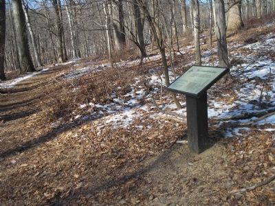 Marker in Jockey Hollow image. Click for full size.