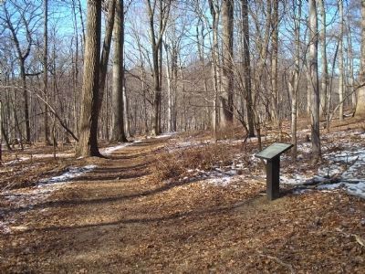 Marker on the Grand Loop Trail. Click for full size. Marker on the Grand Loop Trail image. Click for full size.