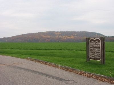 Silver Mound and Marker image. Click for full size.