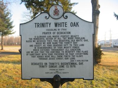 Trinity White Oak Marker image. Click for full size.