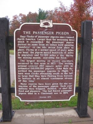 The Passenger Pigeon Marker image. Click for full size.