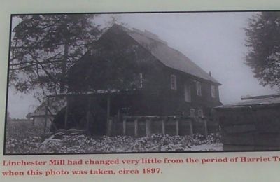 Photo of Mill taken in 1897. image. Click for full size.
