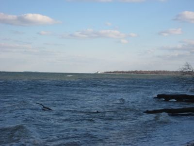 View of Cove Point Lighthouse image. Click for full size.