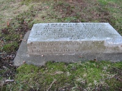 Freedom Tree Marker. Click for full size. Freedom Tree Marker image. Click for full size.