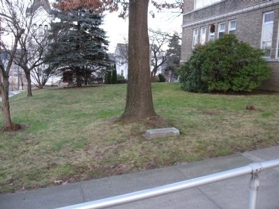 Freedom Tree Marker. Click for full size. Freedom Tree Marker image. Click for full size.