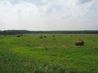 Trail Stop 3: Preservation of the Battlefield. Click for full size. Trail Stop 3: Preservation of the Battlefield image. Click for full size.
