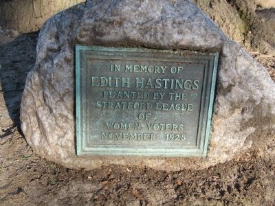 Marker on the left of the tree. Click for full size. Marker on the left of the tree image. Click for full size.