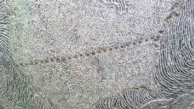 Flight Path on the Southern Cross Monument. Click for full size. Flight Path on the Southern Cross Monument image. Click for full size.