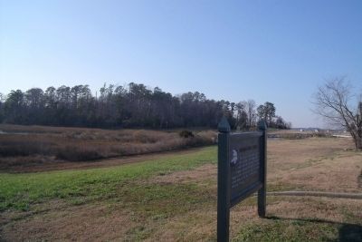 Indian Field Creek. Click for full size. Indian Field Creek image. Click for full size.