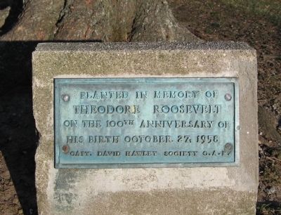 Planted in Memory of Theodore Roosevelt Marker. Click for full size. Planted in Memory of Theodore Roosevelt Marker image. Click for full size.