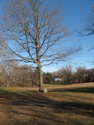 Planted in Memory of Theodore Roosevelt Marker. Click for full size. Planted in Memory of Theodore Roosevelt Marker image. Click for full size.