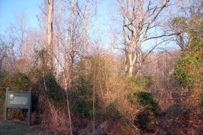 Mill Dam (overgrown mound in center). Click for full size. Mill Dam (overgrown mound in center) image. Click for full size.