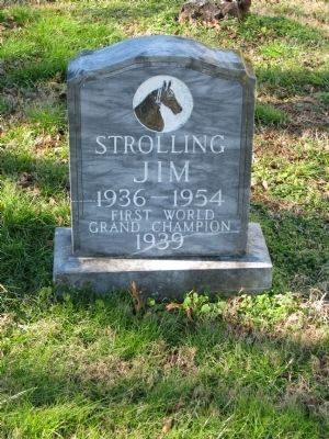 Strolling Jim's Grave image. Click for full size.