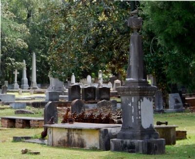 Village (Willowbrook) Cemetery image. Click for full size.