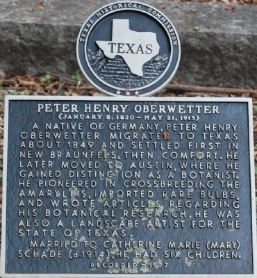 Peter Henry Oberwetter Marker image. Click for full size.