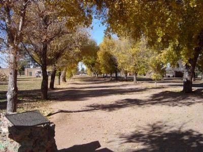 Cottonwood Lane at Fort Lowell image. Click for full size.