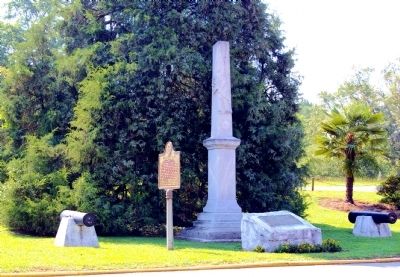 Palmetto Marker image. Click for full size.