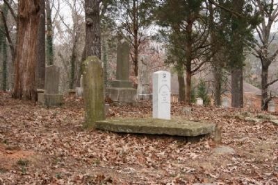 Gravesites at Union Hill Cemetery image. Click for full size.