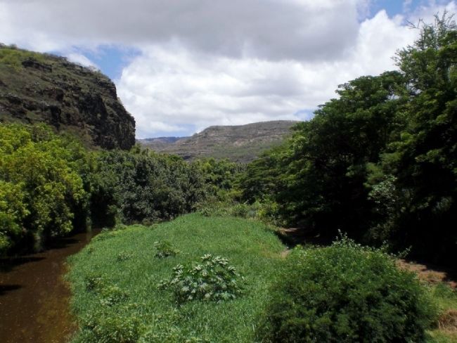 Waimea River Canyon as viewed from Menehune Ditch Marker Site image. Click for full size.