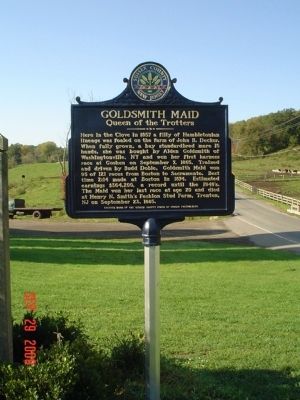 Goldsmith Maid Marker image. Click for full size.