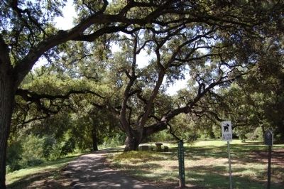 Seiders Oaks and Marker. Click for full size. Seiders Oaks and Marker image. Click for full size.