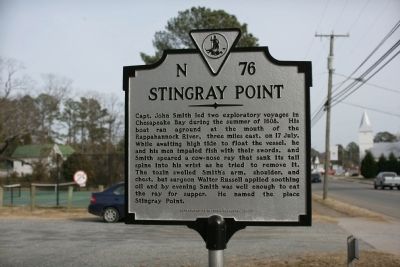 Stingray Point Marker image. Click for full size.