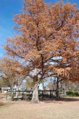 San Gabriel Park. Click for full size. San Gabriel Park image. Click for full size.