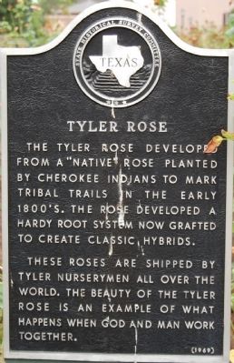 Tyler Rose Marker. Click for full size. Tyler Rose Marker image. Click for full size.