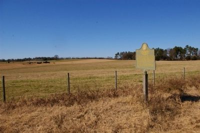 Tuscaloosa Formation Marker image. Click for full size.