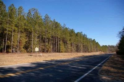 The Wire Road Marker. Click for full size. The Wire Road Marker image. Click for full size.