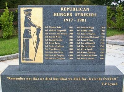 Duleek 1916 - 1981 Hunger Strike Monument. Click for full size. Duleek 1916 - 1981 Hunger Strike Monument image. Click for full size.