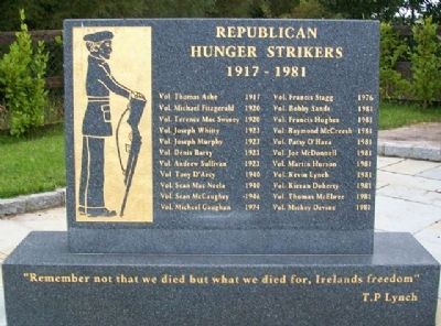 Duleek 1916 - 1981 Hunger Strike Monument image. Click for full size.