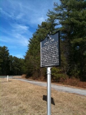 Marker Surrounded by Pine Forest image. Click for full size.